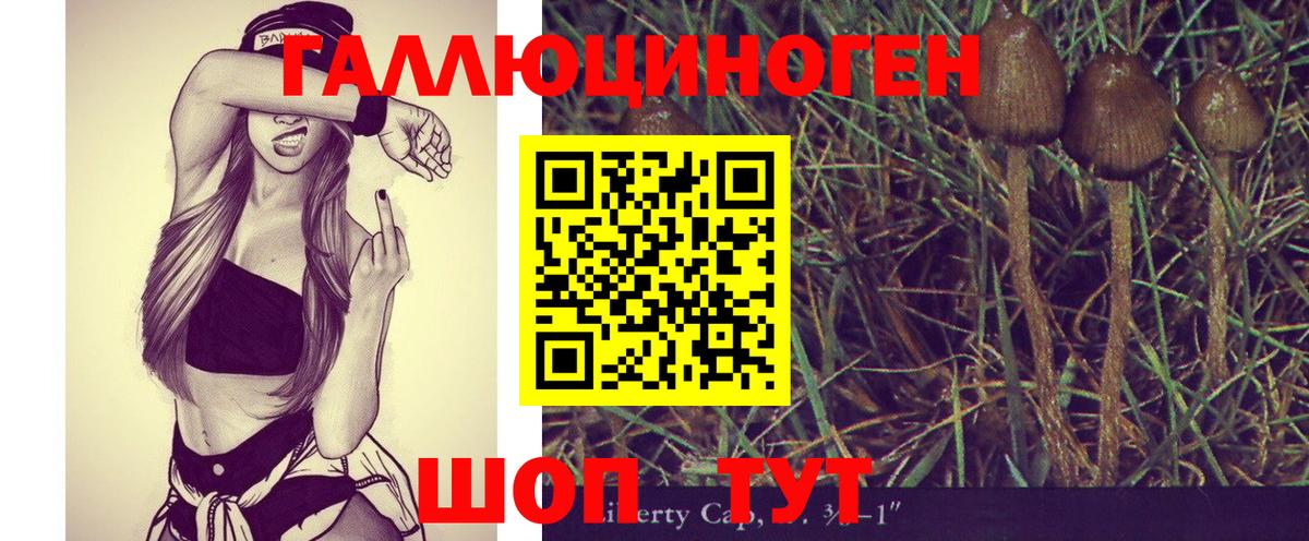 Псилоцибиновые грибы Psilocybine cubensis Пыть-Ях